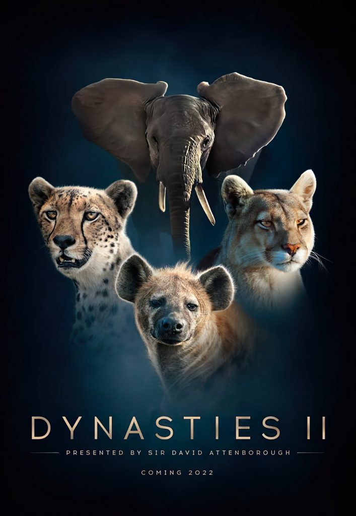 Producciones_DynastiesII