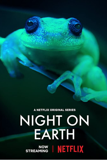 Night on earth, netflix series