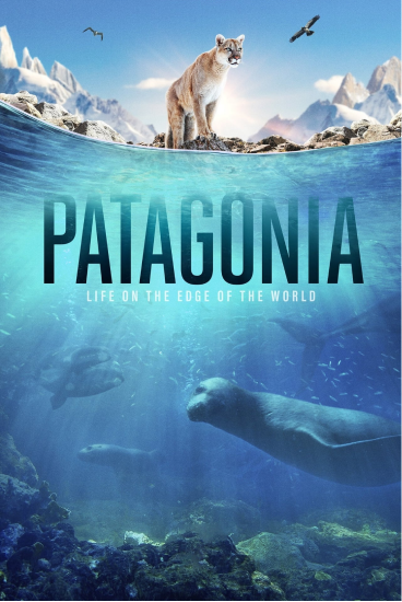 Patagonia at the edge of the world, with chilean filmmakers