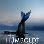 The humboldt current chilean team production