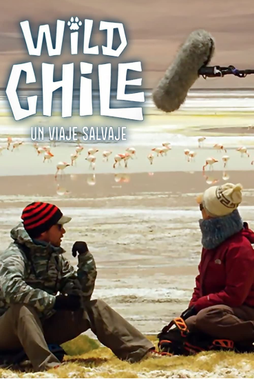 Producciones_WildChile