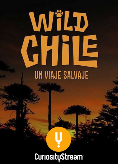 Wild Chile un viaje salvaje