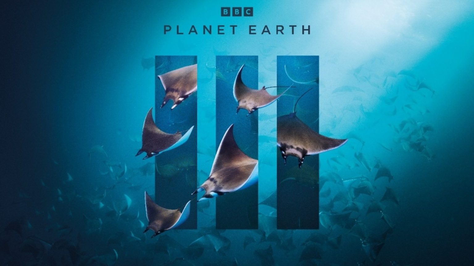 Planet Earth III